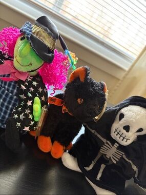 Beanie Babies Trio Green Witch SCARY/Grimm Reeper CREEPERS/Black Cat FRAIDY